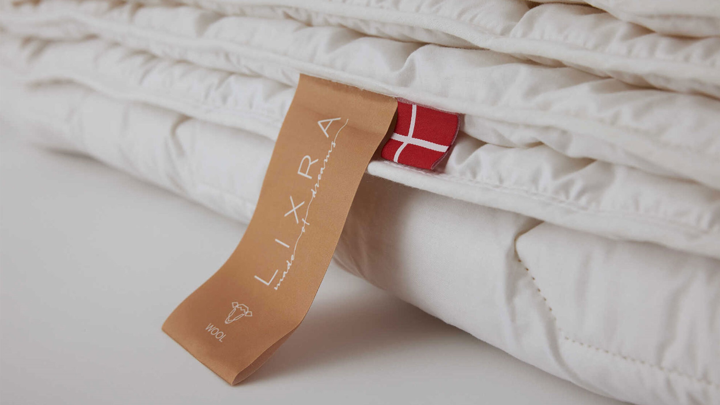 2 11210 Lixra April 2021 032 Optimized