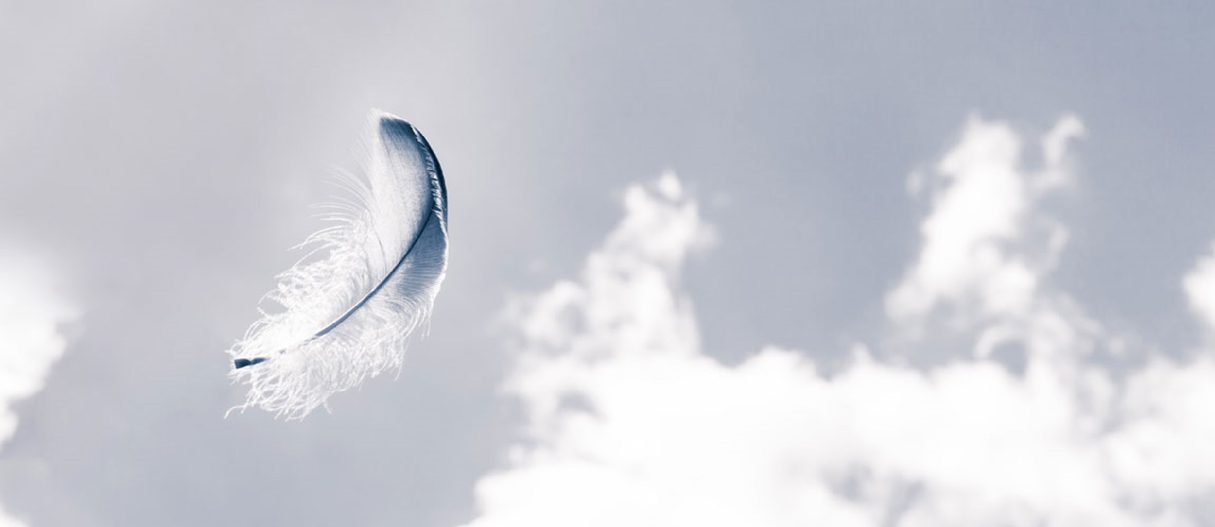 Sådan Måles Dynens Bæreevne