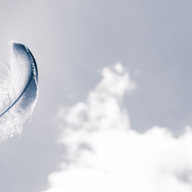 Sådan Måles Dynens Bæreevne