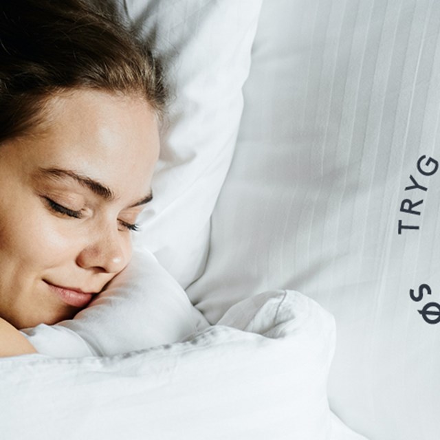 Topbanner Sovnvejleder 20242